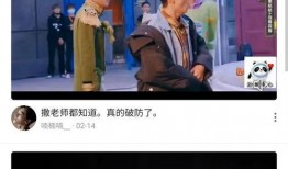 创投大佬爆料视频大全集,揭秘投资界风云变幻