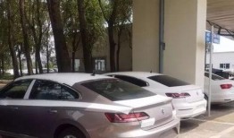 cc最新爆料,揭秘娱乐圈惊天秘密！