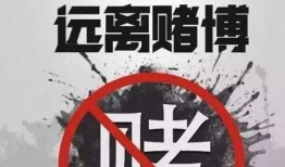 娱乐爆料不犯法吗是真的吗,揭秘不犯法真相