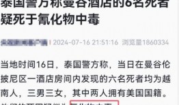 合江热点爆料事件最新,最新热点事件揭秘，真相令人震惊！