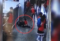 小学生最新爆料事件视频,揭秘校园事件背后的真相