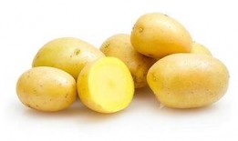 雪天使土豆网在线观看,浪漫冬日情感之旅即将开启