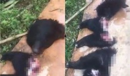 网友爆料缅甸事件视频,网友爆料视频揭露惊人一幕