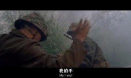 风语者国语在线观看,揭秘二战密码传奇，在线观看重温历史风云