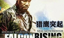 猎鹰突起在线观看,揭秘在线观看背后的热血传奇