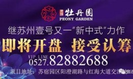 九号新品最新爆料n385c,颠覆传统，引领科技潮流！”