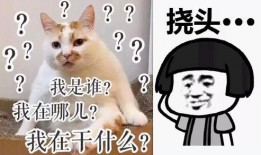 娱乐圈大瓜爆料李易峰,揭秘明星背后的真相