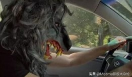 笼中之鸟电影在线观看,揭秘自由与束缚的深刻寓言