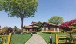 澳门夜游爆料最新消息查询,揭秘最新爆料与精彩亮点