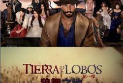 狼舞之地手机在线观看,手机在线观看，探寻神秘狼族秘境