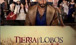 狼舞之地手机在线观看,手机在线观看，探寻神秘狼族秘境