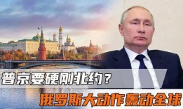 最新俄罗斯爆料新闻事件,揭秘背后真相与影响”