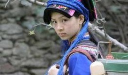 天仙爆料最新消息今天,今日热点事件深度解析