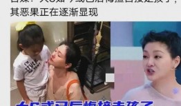 台媒爆料姐夫视频大全,一场惊心动魄的偷拍风波