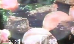 雪天使土豆网在线观看,浪漫冬日情感之旅即将开启