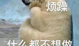 吃瓜群众免费图片高清,揭秘吃瓜群众免费高清图片背后的故事