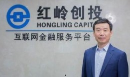 创投大佬爆料视频大全集,揭秘投资界风云变幻