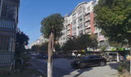 盛世华庭怡园最新爆料,揭秘高端住宅区的奢华生活与未来潜力