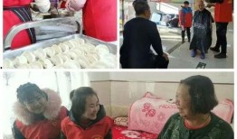 城西志愿者爆料案件最新,最新案件细节曝光，真相令人震惊！