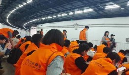 城西志愿者爆料案件最新,最新案件细节曝光，真相令人震惊！