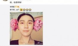 娱乐圈最新爆料图片大全