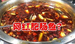 肥肠爆料事件视频完整版
