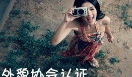 小君系列在线观看,穿越时空的奇幻冒险之旅