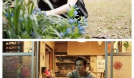 白兔糖电影一在线观看,温馨治愈，亲情与成长的感人之旅