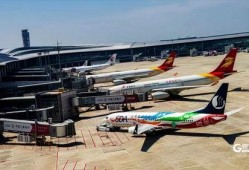 青岛飞机场爆料视频大全,揭秘机场幕后趣闻与瞬间