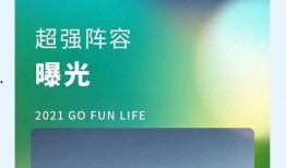 新城最新爆料新闻,揭秘事件背后惊人真相