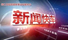 新闻快车爆料音乐有哪些,音乐界最新爆料盘点
