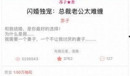 爆料君娱乐圈柚子小说