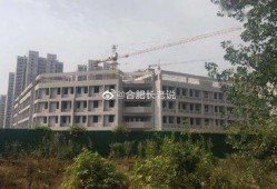 武邑中学爆料新闻最新,揭秘校园风云事件背后的真相