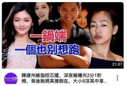 多人爆料陈建州视频播放,真相与争议