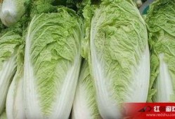 大白菜cp娱乐爆料,揭秘明星幕后恋情真相