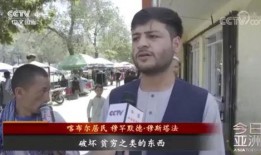 美国孙子爆料新闻事件视频,真相背后令人震惊