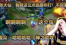 大仙爆料吵架视频播放,揭秘幕后真相
