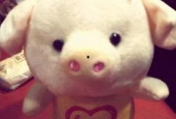 小猪崽子爆料娱乐圈小说