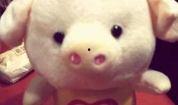 小猪崽子爆料娱乐圈小说