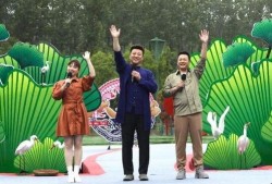 爆料最新艾尔海森的视频,神秘技能引热议，未来走向引期待