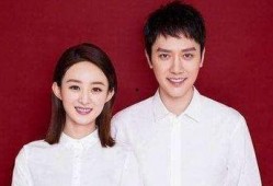 娱乐爆料杨颖离婚女星,娱乐圈再掀波澜，女星命运多舛