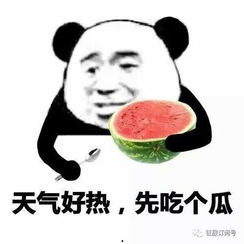 娱乐吃瓜酱网络发达